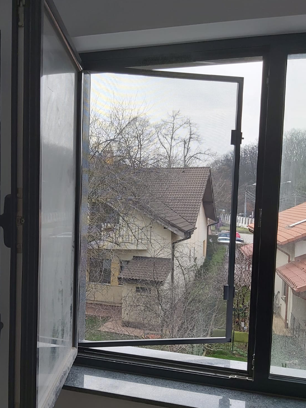 Plase tantari cu Balamale Bucuresti si Ilfov